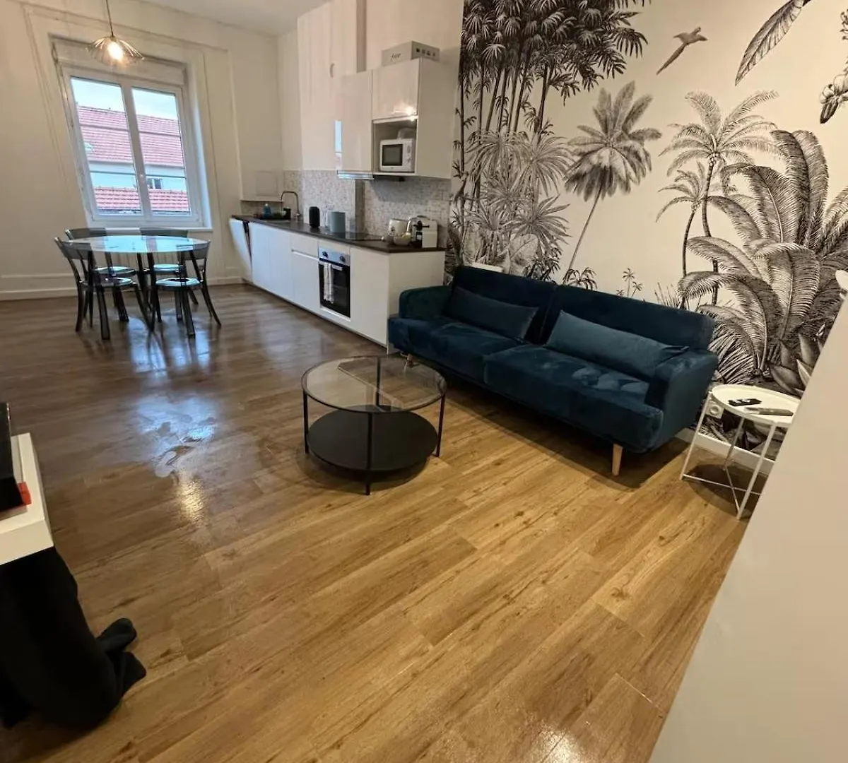 Superbe T2, Renove, Calme Apartment Villeurbanne